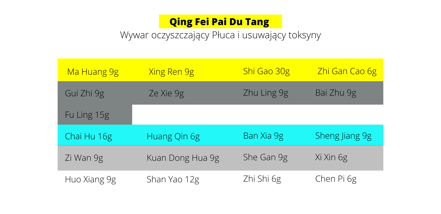 Qing Fei Pai Du Tang  Wywar oczyszczający Płuca i usuwający toksyny