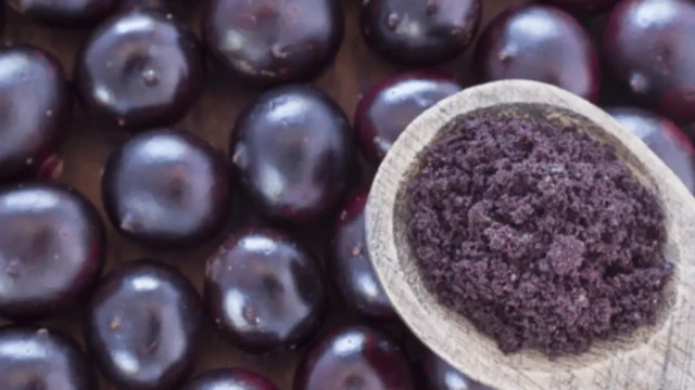 jagody acai