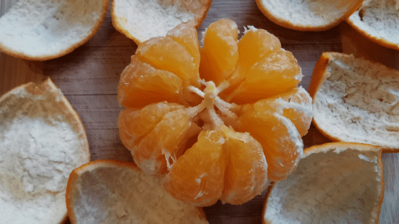 Skórka z mandarynki