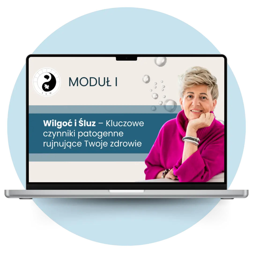 wilgoć i śluz moduł 1 mockup