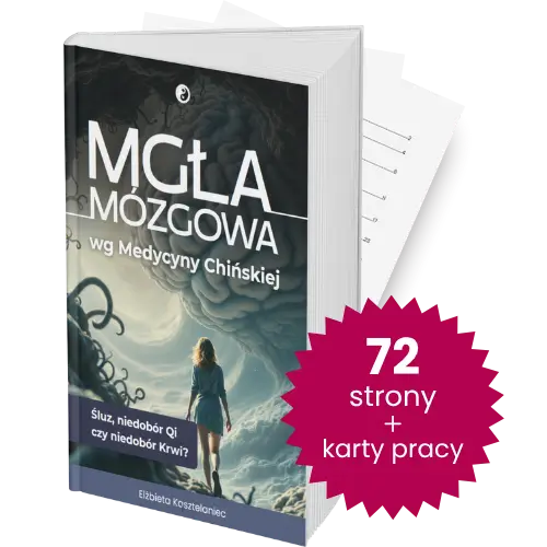 mgła mockup strony